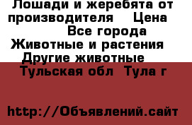 Лошади и жеребята от производителя. › Цена ­ 120 - Все города Животные и растения » Другие животные   . Тульская обл.,Тула г.
